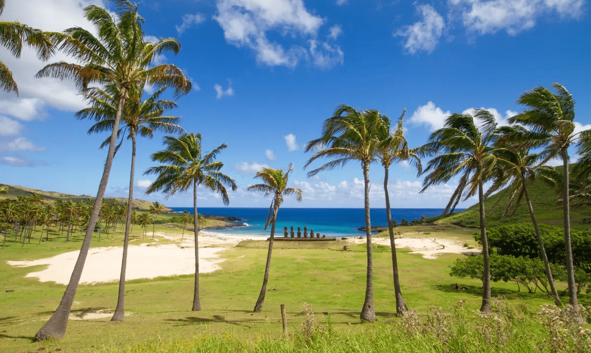 Costa de Rapa Nui